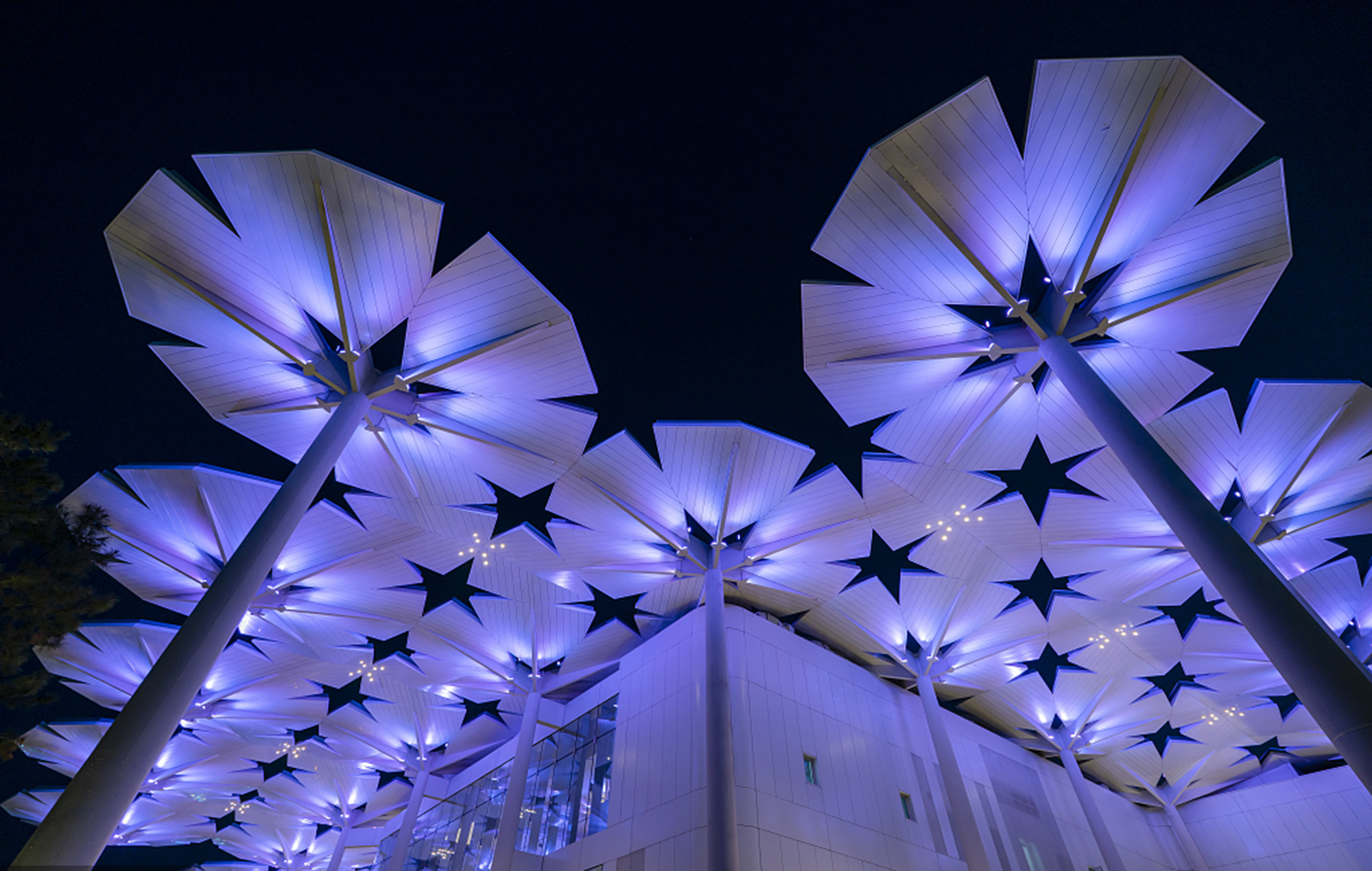 太陽(yáng)棚景觀燈  工廠