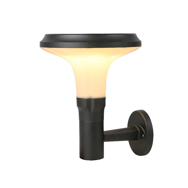 蘭花壁燈  定制