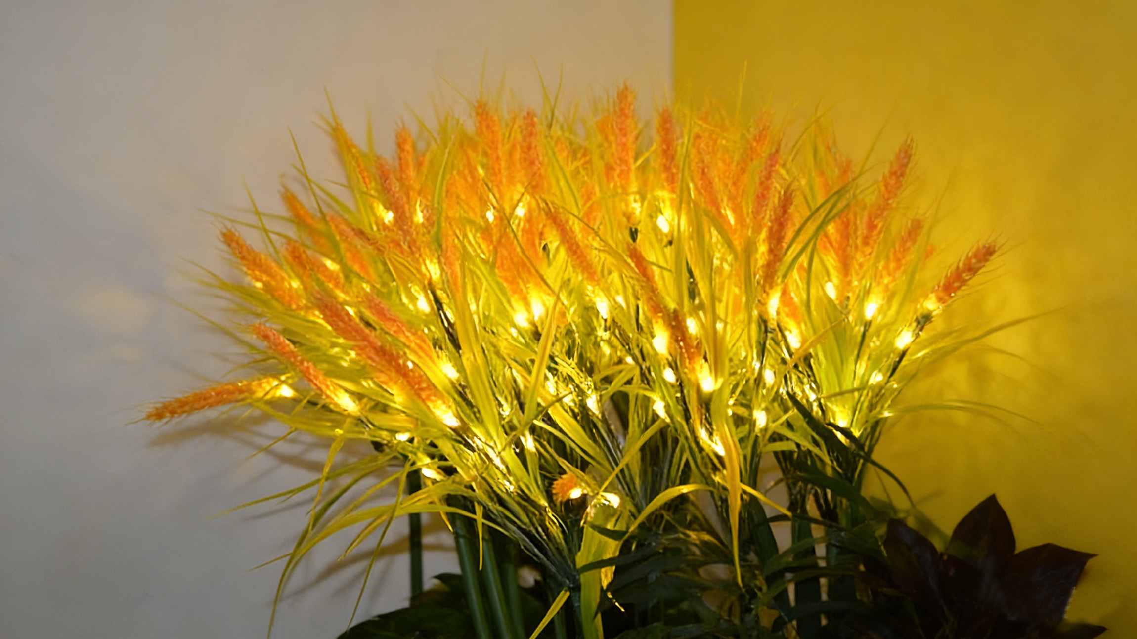 小麥燈   價(jià)格