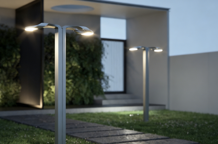 雙面龍杖庭院款